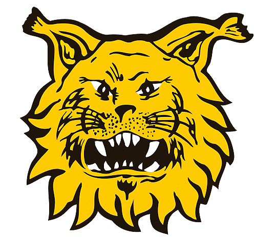 Ilves ry